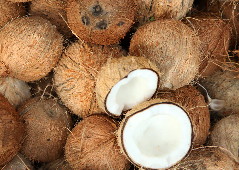 ආනයනය කරන පොල් ගෙඩි ගැන නිවේදනයක්