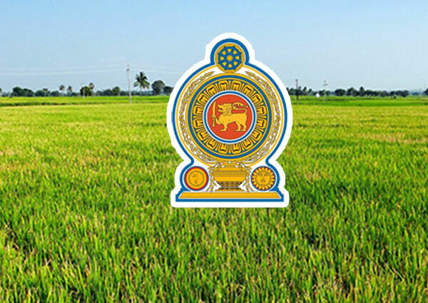 කෘෂිකර්ම අධ්‍යක්ෂ ජනරාල් ධුරයට නව පත්වීමක් සඳහා කැබිනට් අනුමැතිය